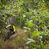 Sam Larson heads for the road jump at the end of Upper Scott's Mom.