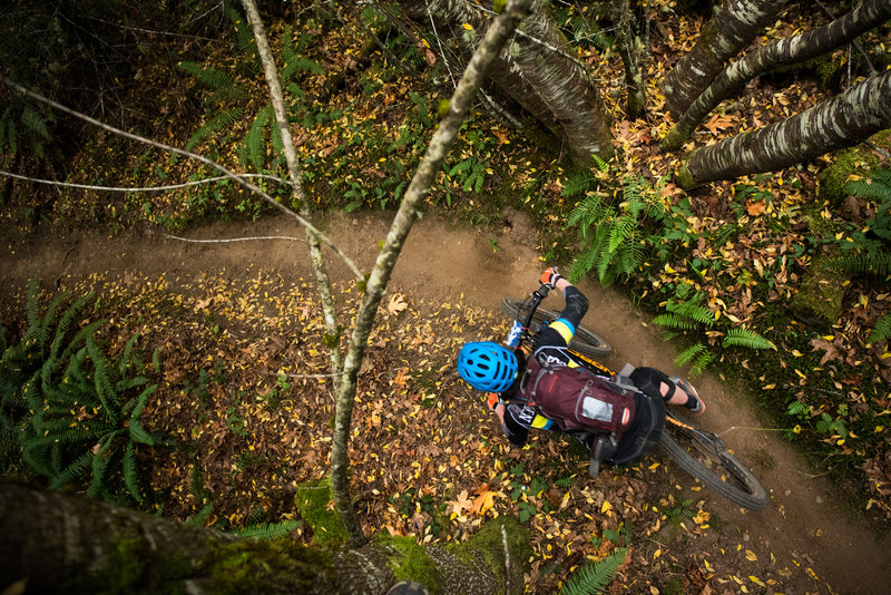 Fall riding on One Liner near Port Angeles, WA.