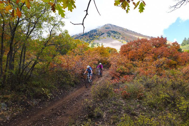 Beautiful fall colors from the ground scrub to the oaks and aspens.