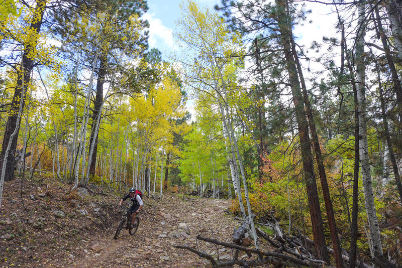 Ripping down the chunky Bulldog Trail.