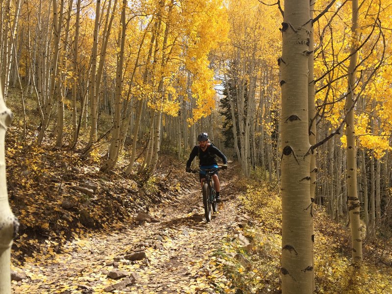 The aspens are beautiful on this trail.