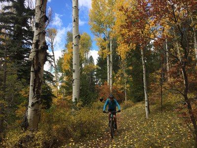 Though not a very fun trail, it is beautiful.