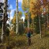 Though not a very fun trail, it is beautiful.