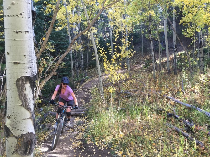 Rolling through the aspens on Re-Root.