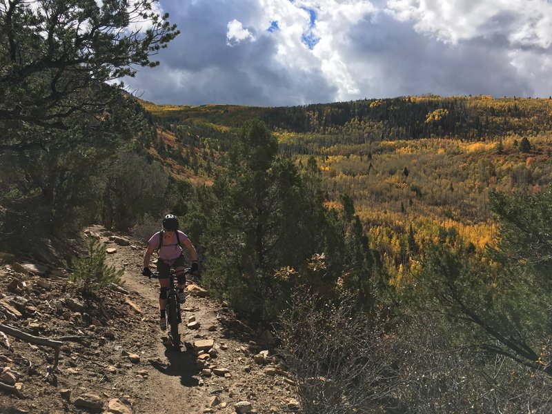 Steep section of Robertson Pasture Trail