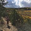 Steep section of Robertson Pasture Trail