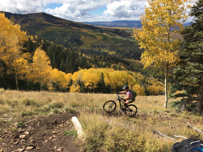 Tight switchbacks with big views near the top of Robertson Pasture Trail