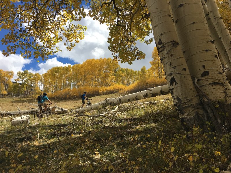 The trail is smooth, but you need solid lungs to crank up the aspen-covered hills.