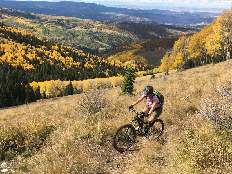 More switchbacks, more amazing aspens.