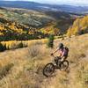 More switchbacks, more amazing aspens.