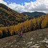 Wide open meadows of Spring Creek Trail.