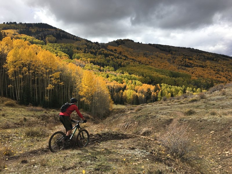 Awesome fall colors on Spring Creek.