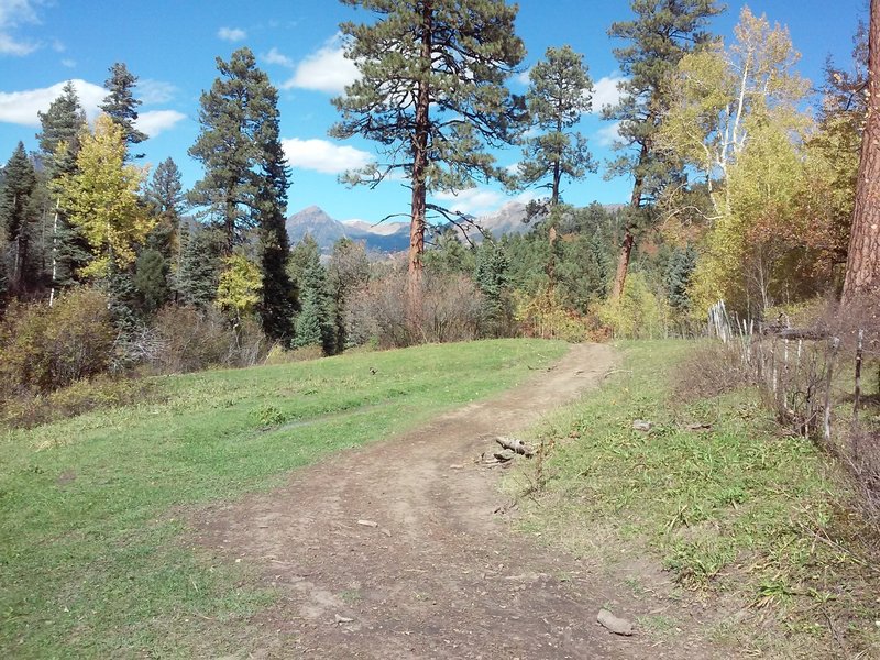 Jeep doubletrack about 5.2 miles into the ride.