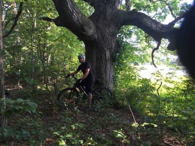 100+ year old Oak along side the shore of Green Lk. Rider Matthew Seeting.