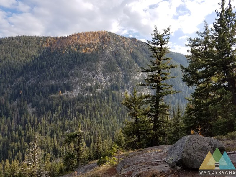 Vista onto some western larch slopes.