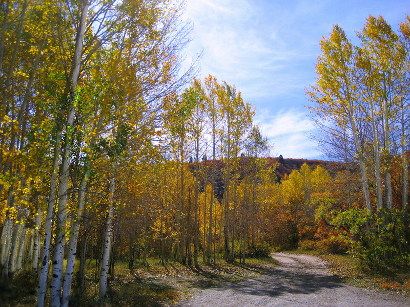 Abajo Peak foothills. with permission from adoverboy2