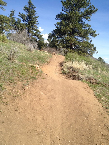 Keep cranking! You're about halfway done with the Mt. Falcon climb.