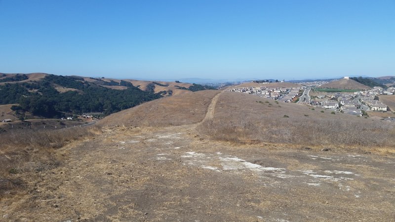 View from the end of Calaveras Ridge Regional Trail after a tough climb.