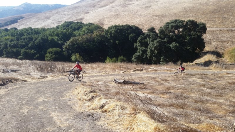 Dublin Hills has lots of short pretty steep climbs like this one.