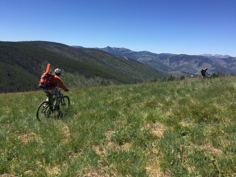 Crossing the high meadow in search of trees to clear