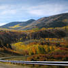 Fall on Abajo Peak. with permission from adoverboy2