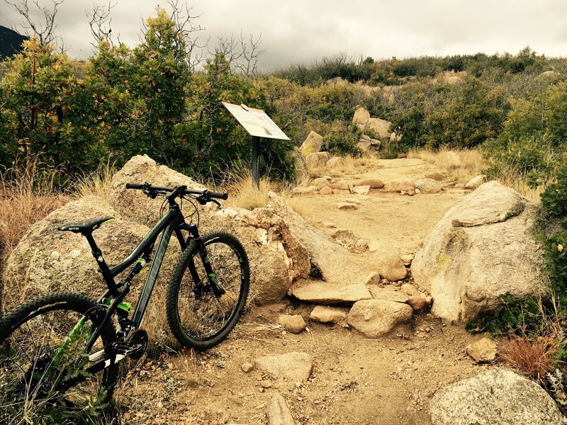 Cool rock section on Coyote Run. If you get stuck, don't worry, there's a sign with some information on coyotes to read.