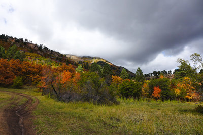 This network of trails is popping with color at the beginning of October.