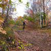 Getting rad in the fall forest.