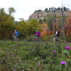 Group rides are great on these wide trails.