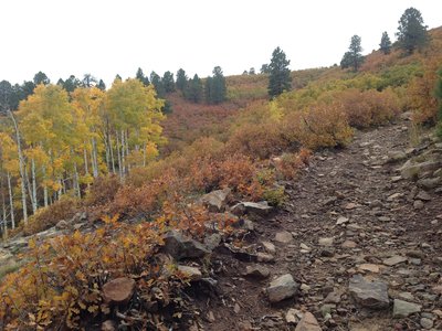Beautiful fall colors.