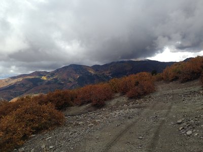 Along the ridge.