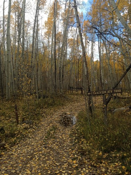 The entrance to Camp Jackson Trail.