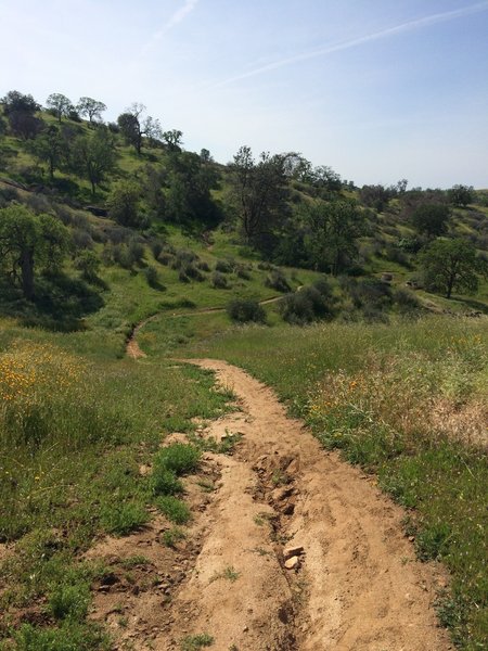 Be cautious of the sand on the bottom of this hill. Buddy took a nice header when his front tire dug in to the sand!