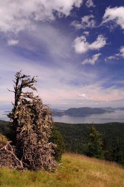 Little Summit Viewpoint.