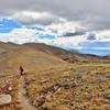 Big views on Canyon Creek Trail.