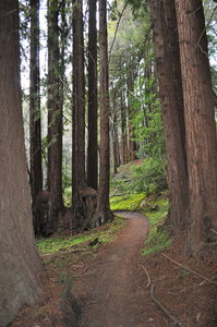 Wilder ranch state discount park mountain biking