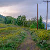 Hays Woods Trail with views of Pittsburgh and the Monongahela River.