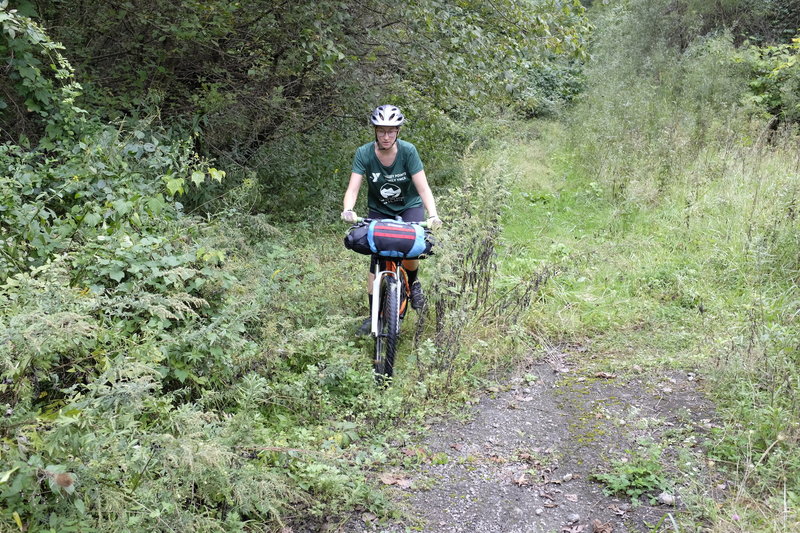 Old paved road covered by vegetation.