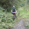 Old paved road covered by vegetation.