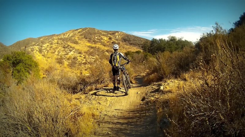 Singletrack going downhill.