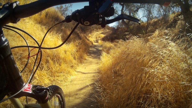 Fun singletrack.