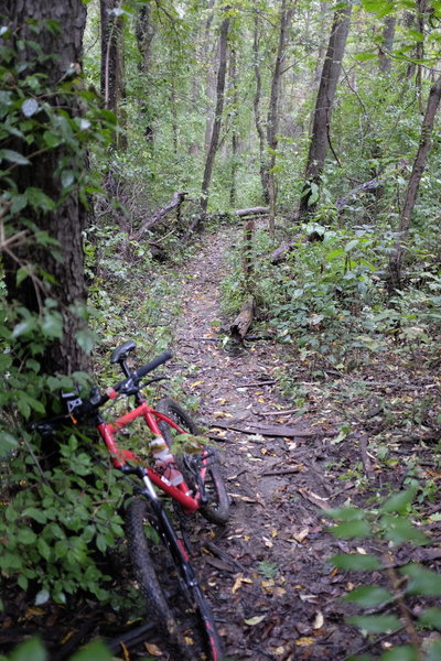 Steep climb, impossible with wet terrain.