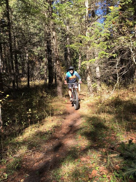 A fun singletrack through a forested area.