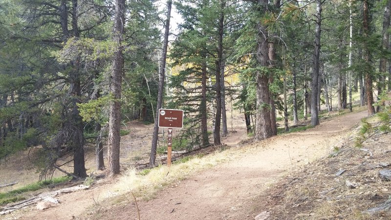 Bear Paw Trail off the Mason Creek Trail, southeast junction.