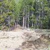 Little bit of rock on the western part of Bear Paw Trail.