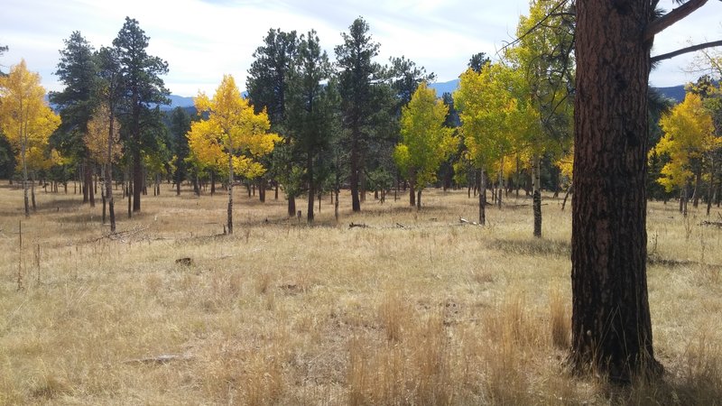 Early October on Staunton Ranch Trail.