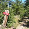 Bluff Creek Ranch - Entrance to Roller Coasters.