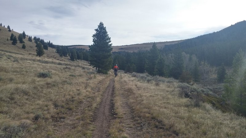 Looking up toward Lewis and Clark Pass.