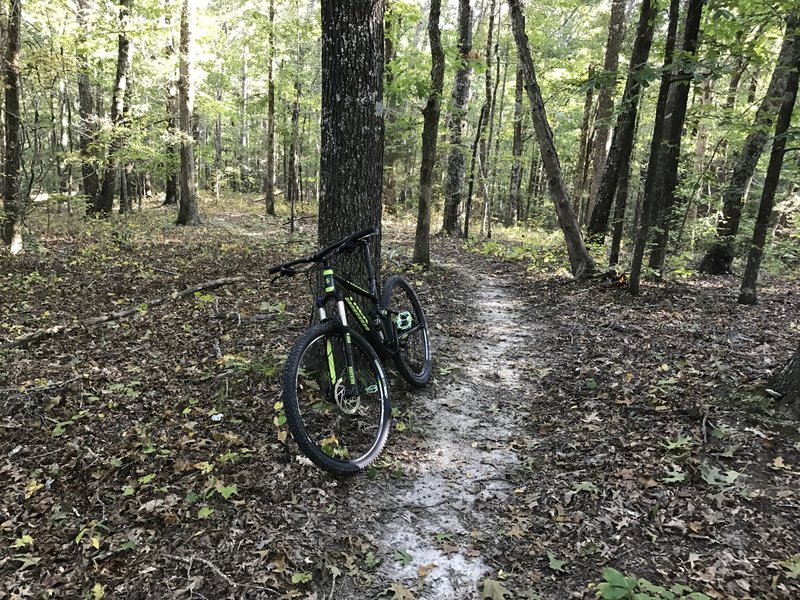 Great ride on a great singletrack.