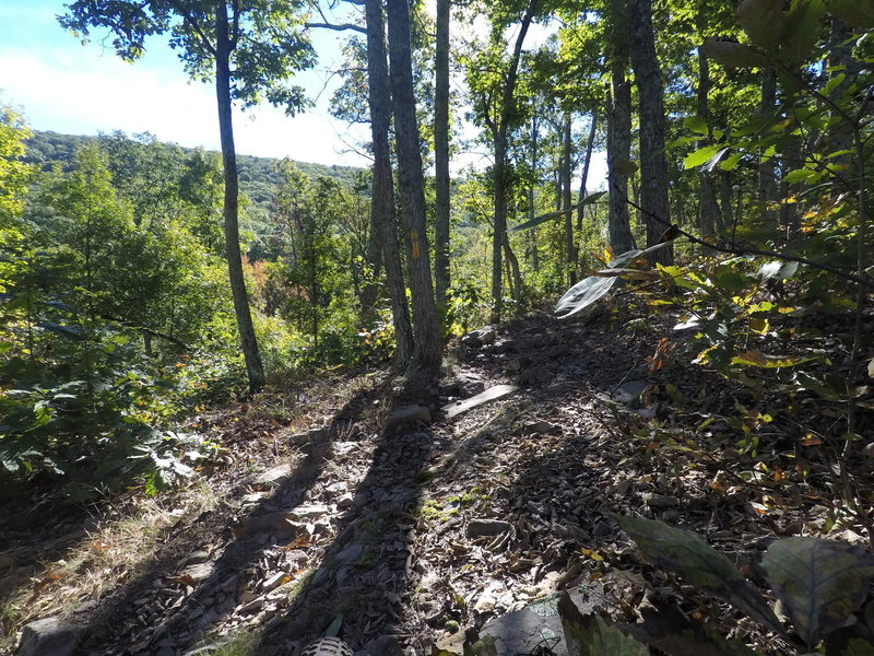 Climbing up Stephens Trail.